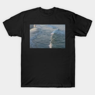 Ocean Walk at Sunset T-Shirt